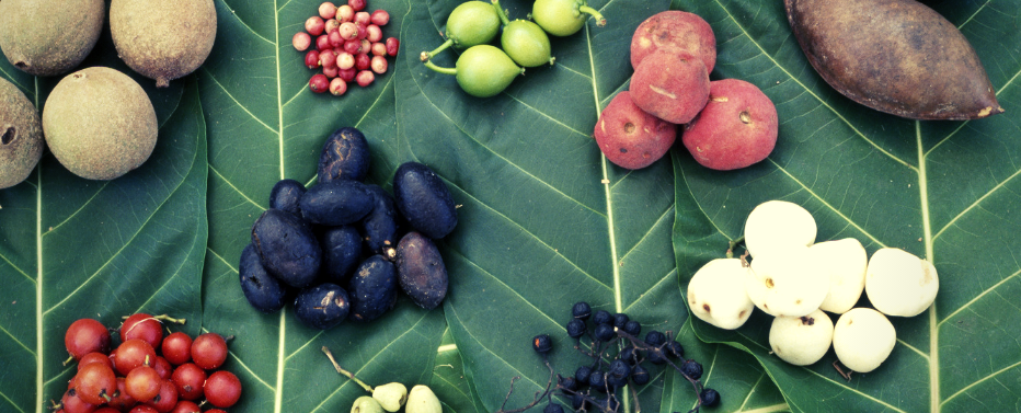 You Are What You Eat: How Nutrition Affects Your Locs