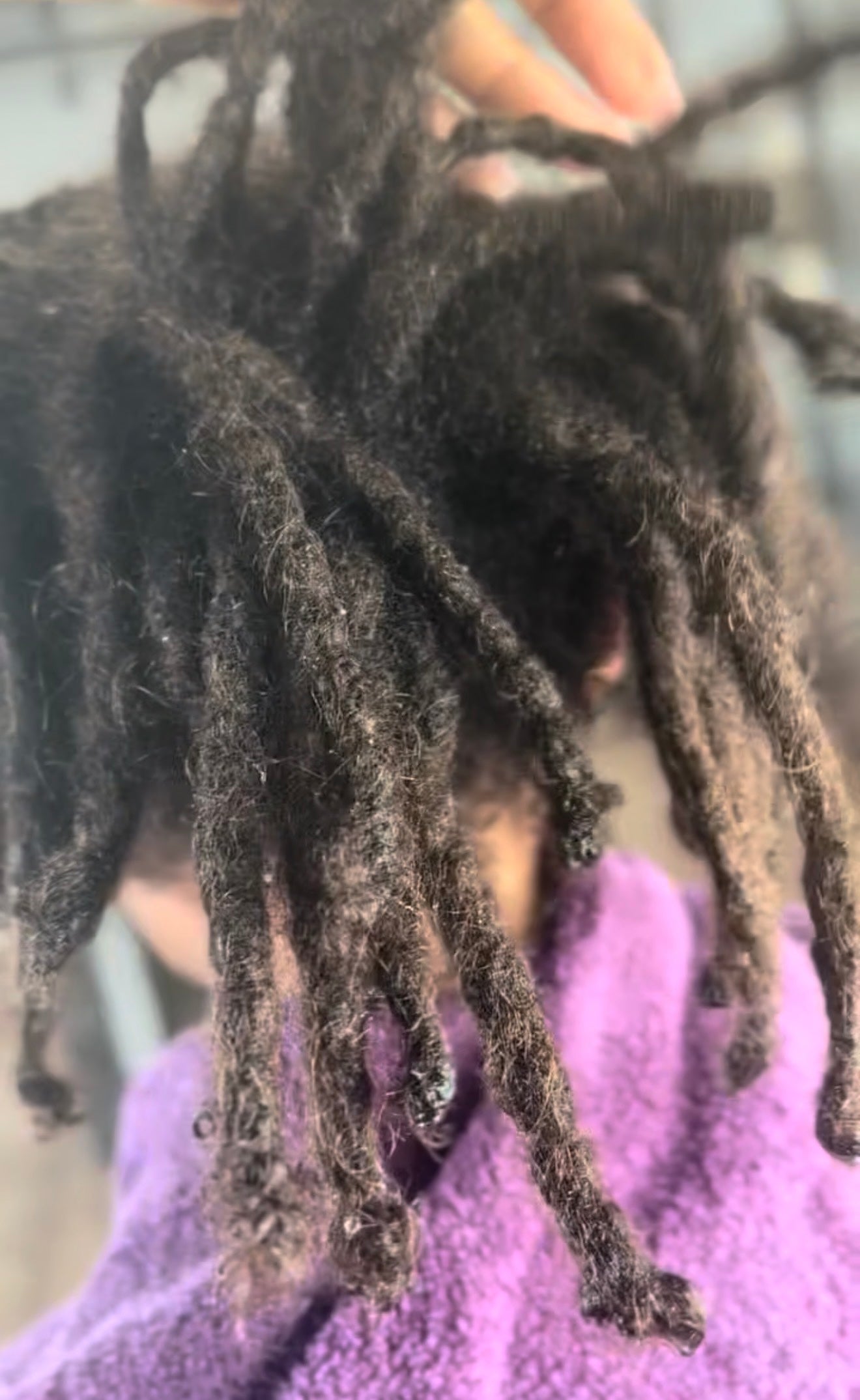 Freeform vs. Manicured Locs: There Is No Wrong Answer