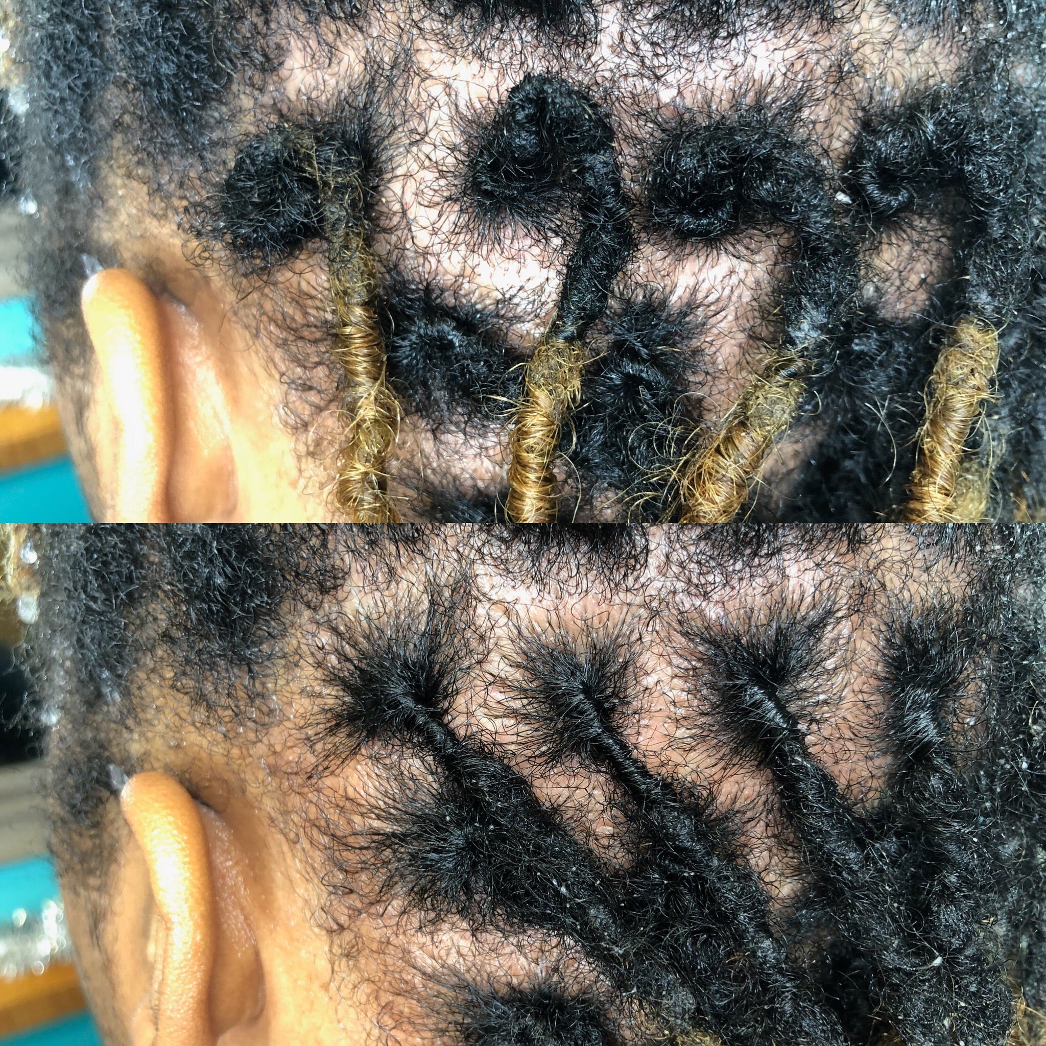 Is The “No Clip Method” Safe for My Locs? – Dr Locs