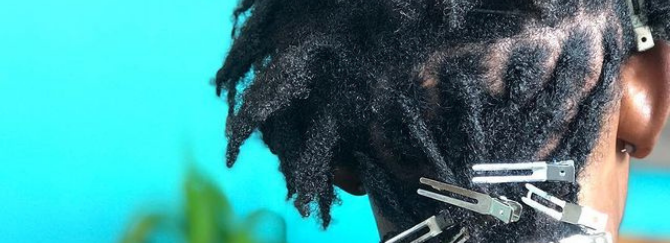 How to Tell if Your Locs are Budding