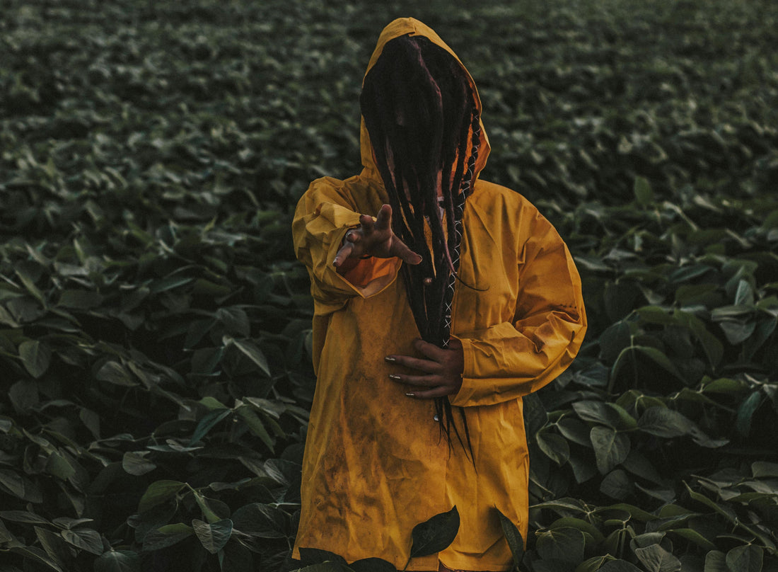 Signs Your Locs Are Not Healthy and How to Fix Them – Dr Locs